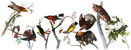 226º Aniversario del nacimiento de John James Audubon